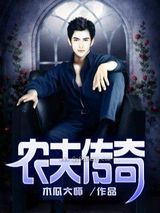 农夫传奇小说