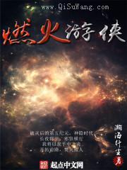 燃火游侠小说