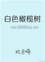 白色橄榄树小说