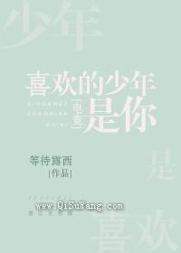 喜欢的少年是你[电竞]小说