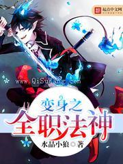变身之全职法神小说