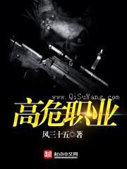 高危职业小说
