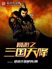 网游之三国天降小说