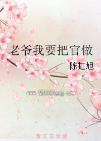 老爷我要把官做小说