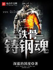 铁骨铸钢魂小说