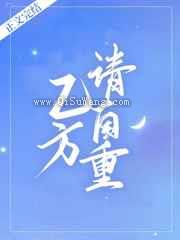 乙方,请自重小说