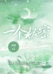 一个秘密小说