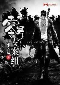 零号专案组小说