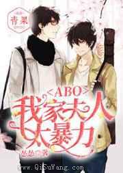 ABO：我家夫人太暴力小说