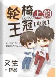 轮椅上的王冠小说