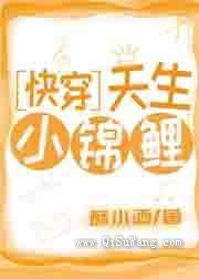 天生小锦鲤小说