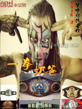 一拳奶爸小说
