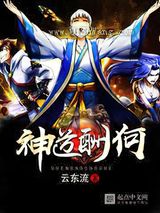 神道酬何小说
