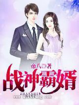战神霸婿小说