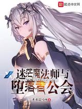 迷茫魔法师与堕落者公会小说