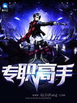 专职高手小说