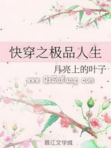 快穿之极品人生小说