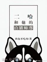 二哈和他的白猫师尊小说