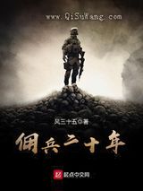 佣兵二十年小说