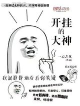 开挂的大神小说