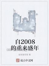 自2008的重来盛年小说