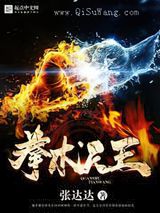 拳术天王小说