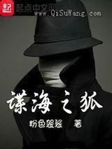 谍海之狐小说