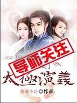 三国之太极演义小说