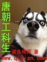 唐朝工科生小说