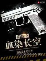 抗战之血染长空小说