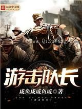游击队长小说