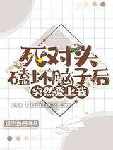 死对头磕坏脑子后小说