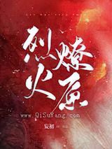 烈火燎原小说