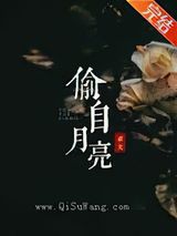 偷自月亮小说