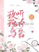 玫瑰与听诊器小说