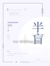 半盲小说