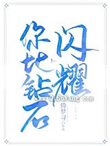 你比钻石闪耀小说