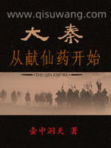 大秦从献仙药开始小说