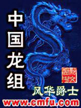 中国龙组小说