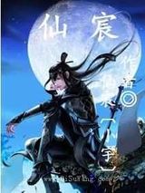 仙宸小说