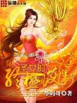 圣女的终极护卫小说