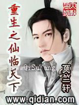 重生之仙临天下小说