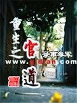 重生之官道小说
