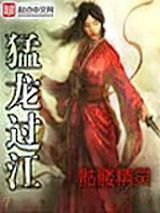 猛龙过江小说
