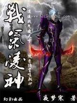 战气凌神小说