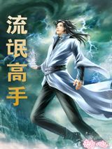 流氓高手小说