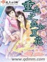 重生之灿如夏花小说