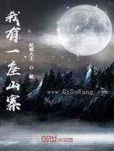我有一座山寨小说