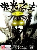荣光之主小说