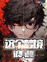 这个梦境很有趣小说